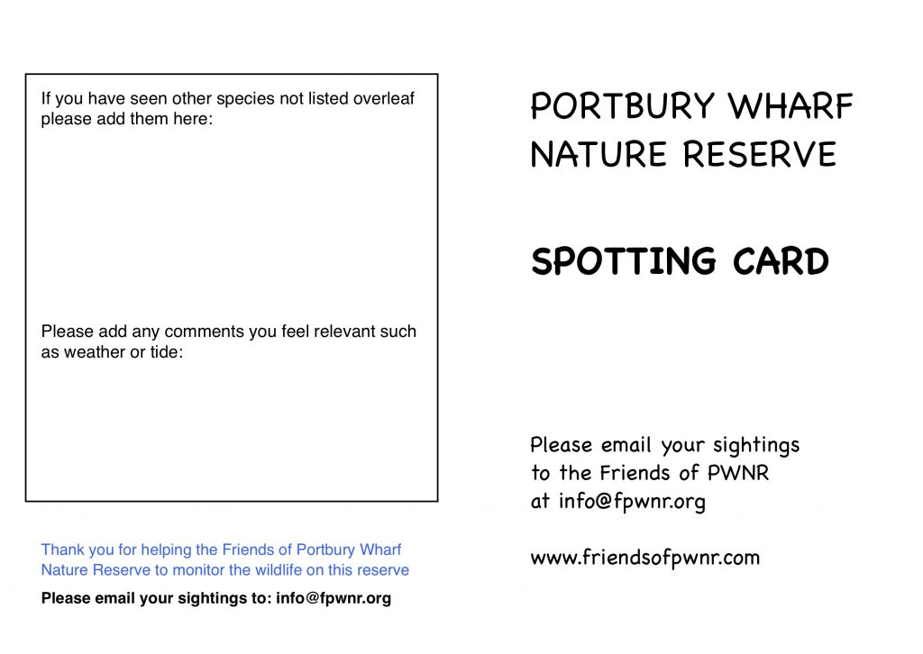 Spotting card for Wildlife Monitoring page 2