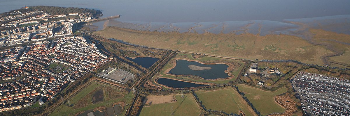 Friends of Portbury Wharf Nature Reserve