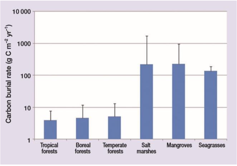 Carbon burial comparison Mcleod et al 2011