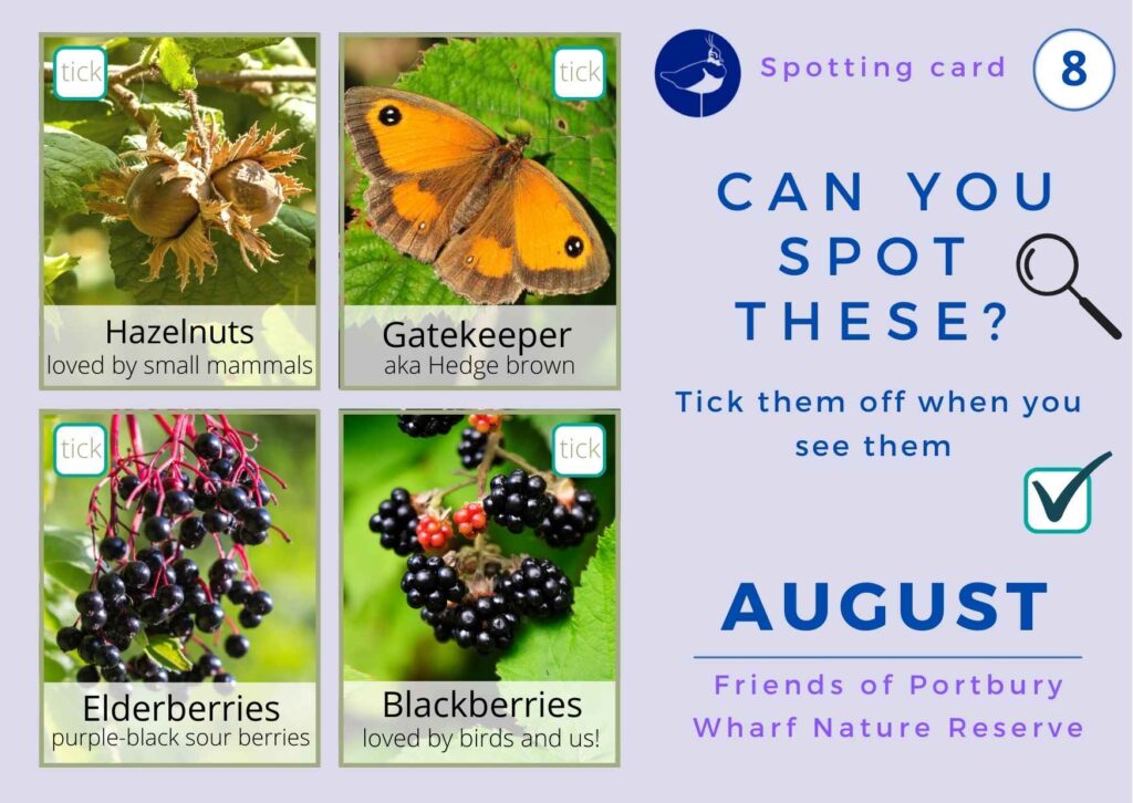 August spotting card side 1